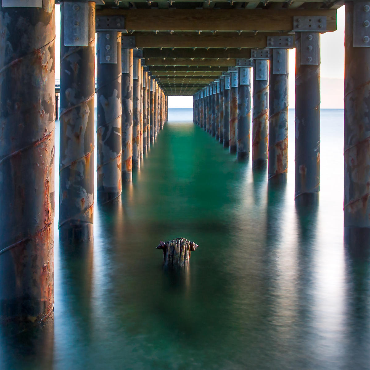 Under the Fishing Dock