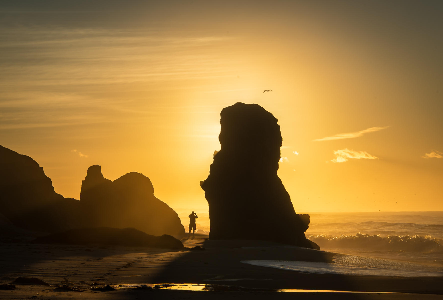 Solitary Man