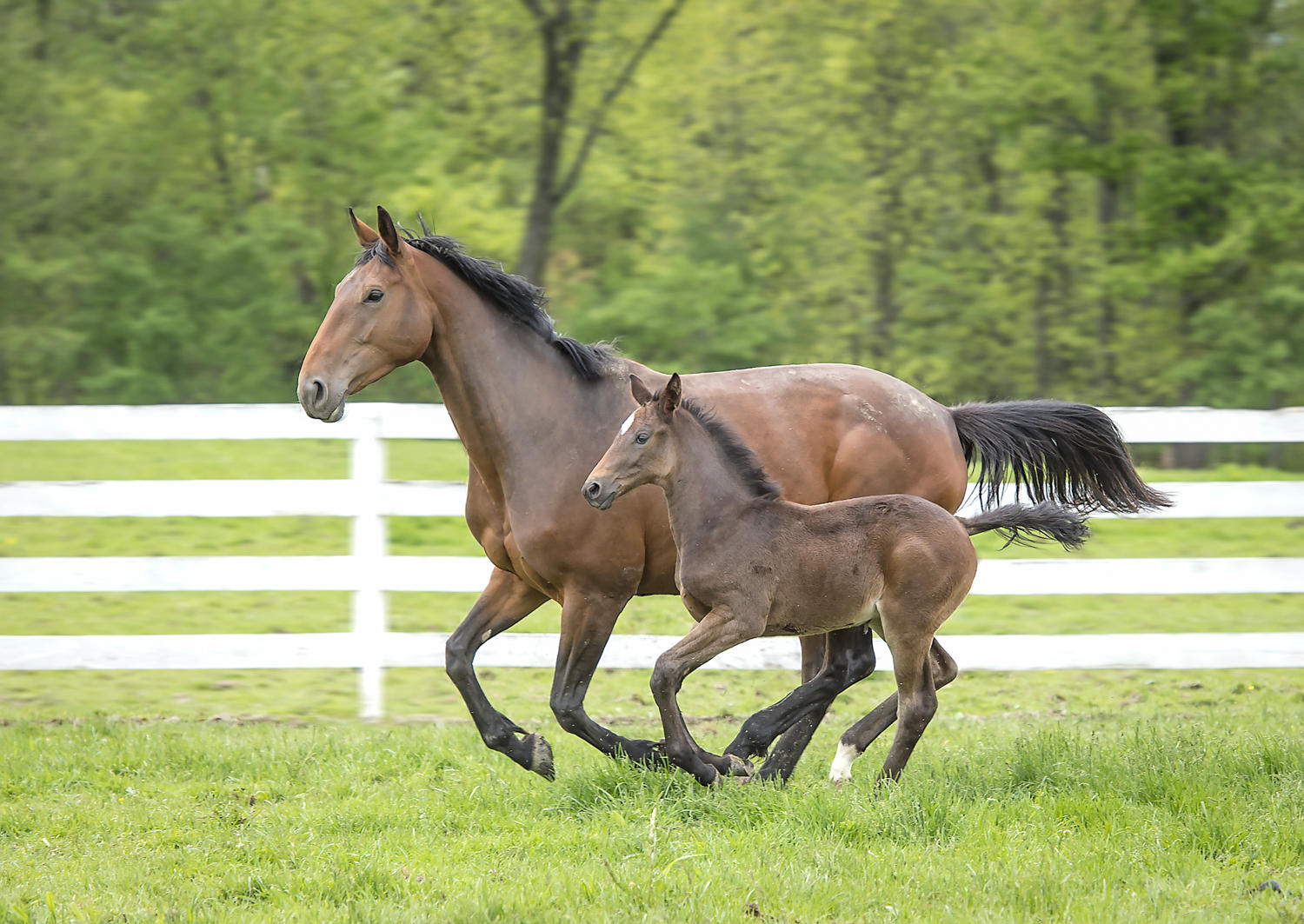 Mother and Child
