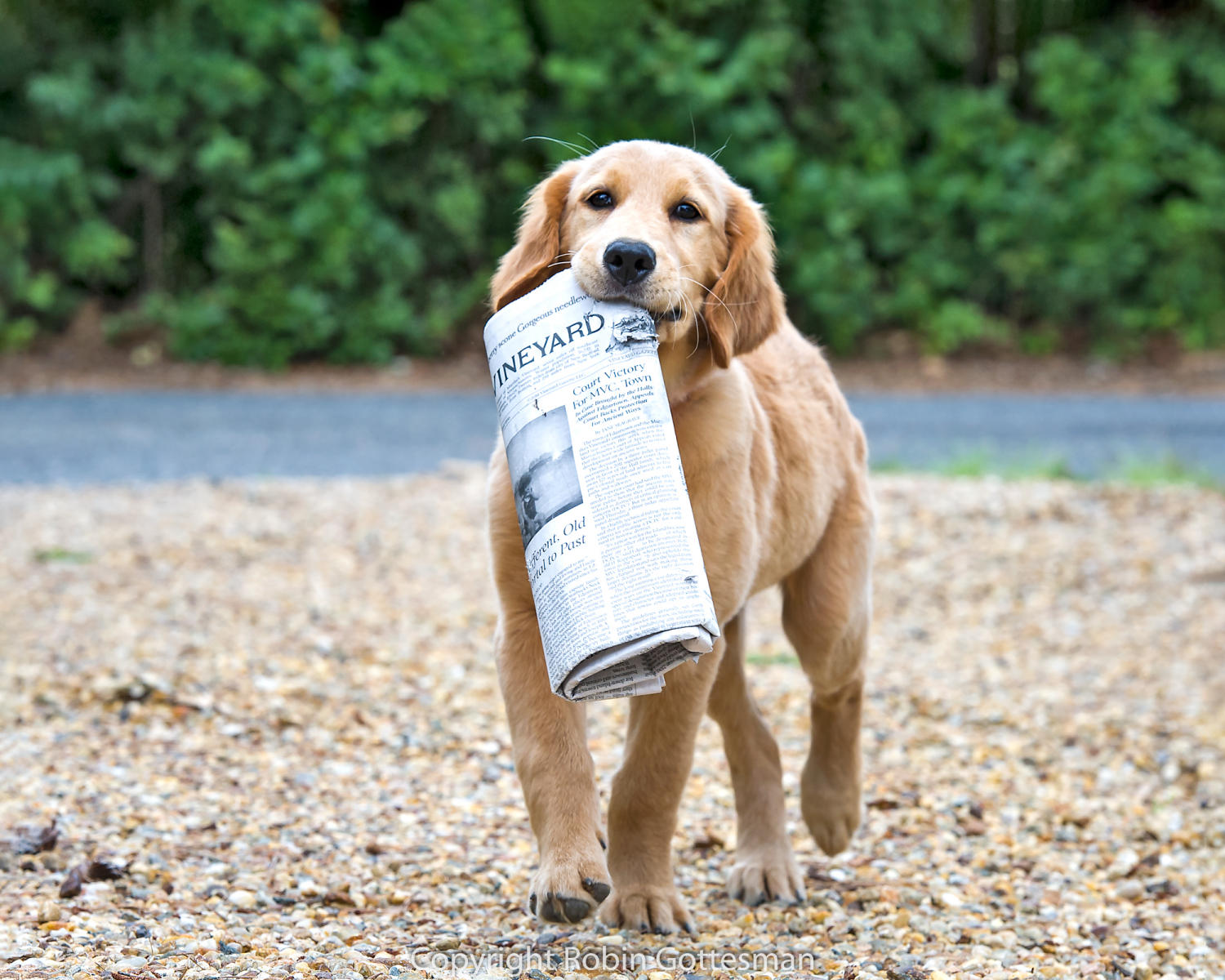 In The News