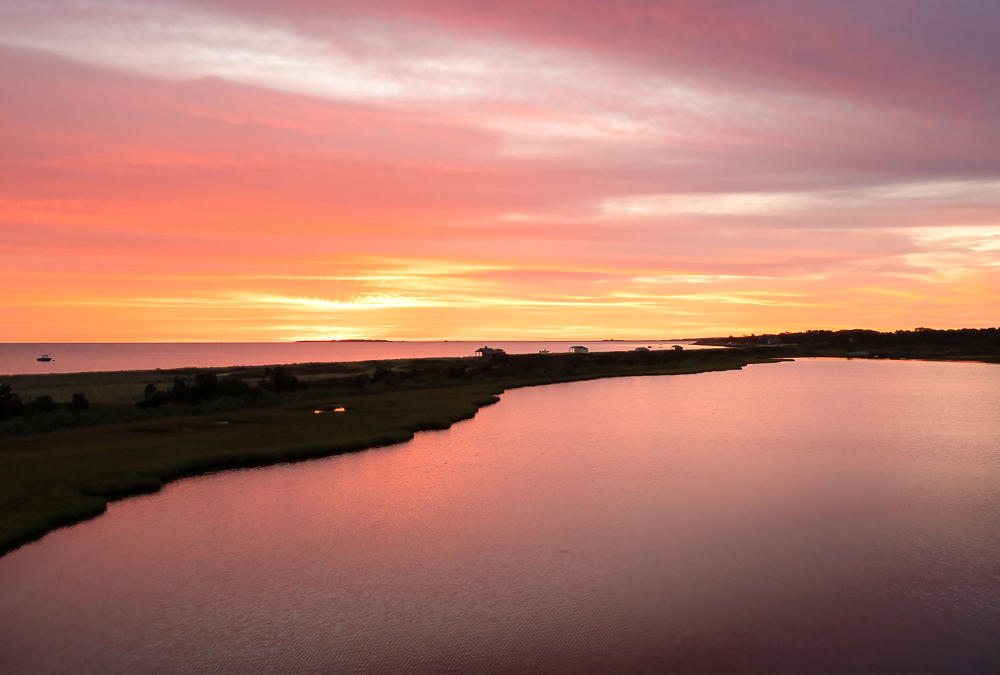 Cow Bay In Peach