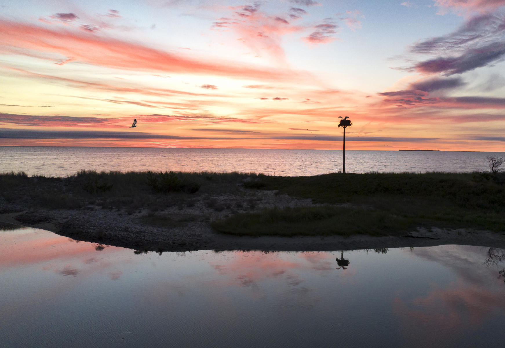 Harthaven Sunrise